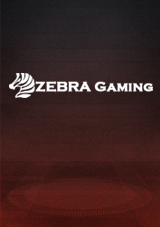 ZG電子遊戲